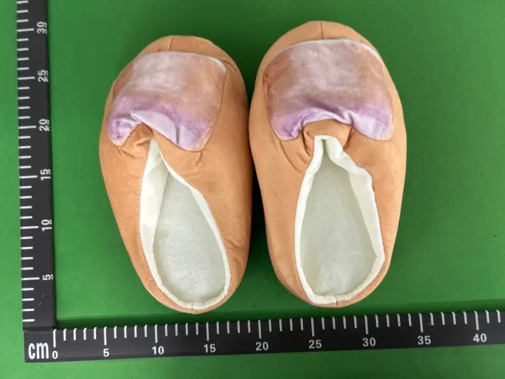 Feet Slides QC photo 2
