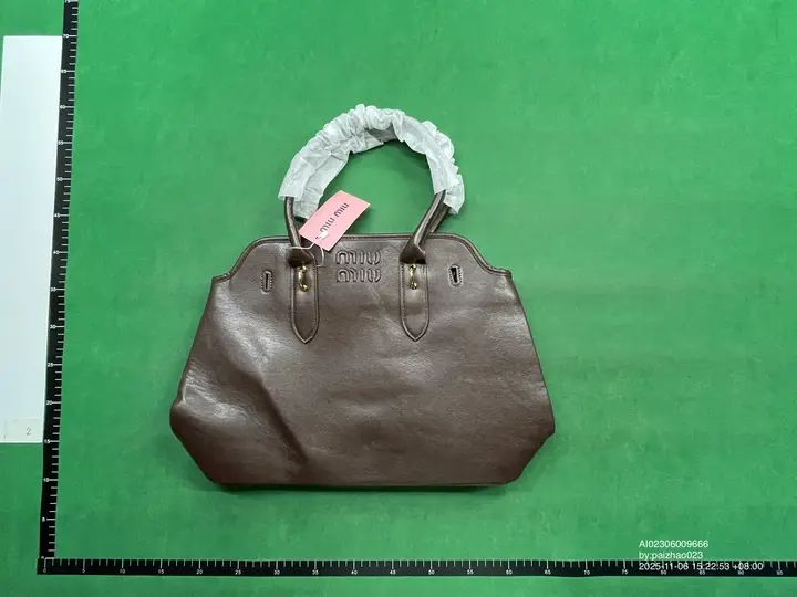 Miu Miu Bag QC photo 11