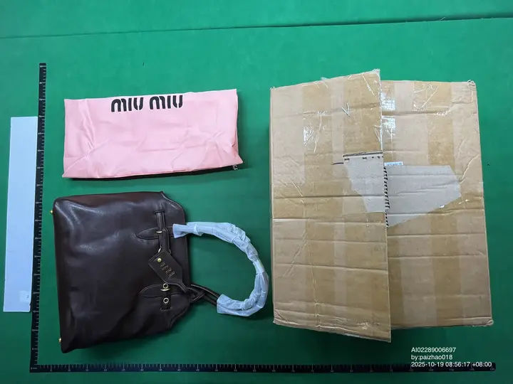 Miu Miu Bag QC photo 12
