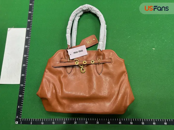 Miu Miu Bag QC photo 18