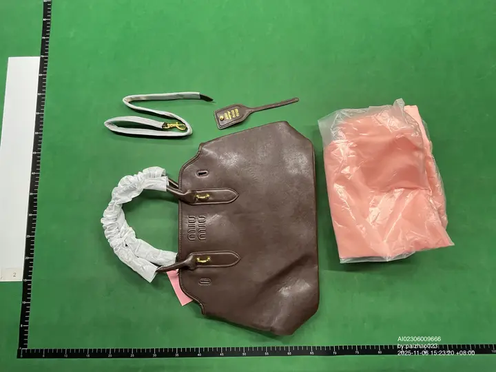 Miu Miu Bag QC photo 9