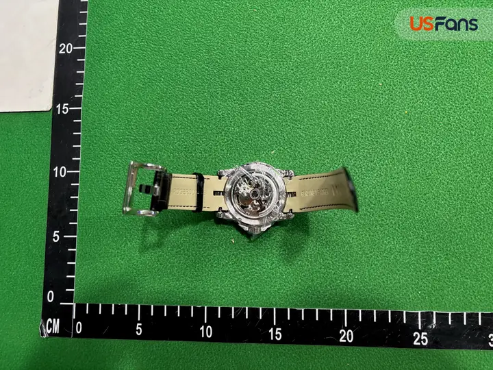 Roger Dubuis Skeleton Watch QC photo 2