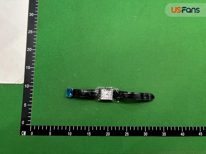 Cartier Tank Watch QC photo 10