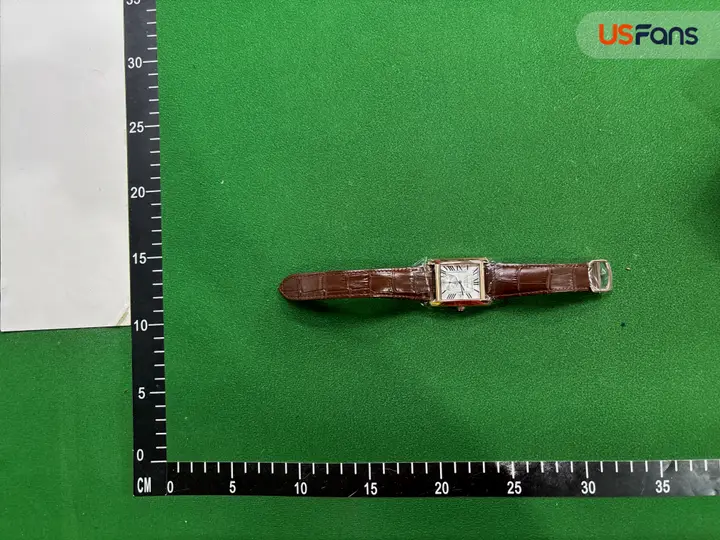 Cartier Tank Watch QC photo 13