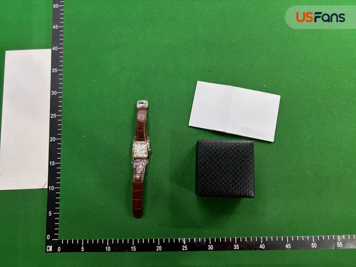Cartier Tank Watch QC photo 15