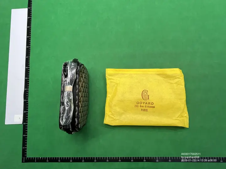 Goyard Bag QC photo 11