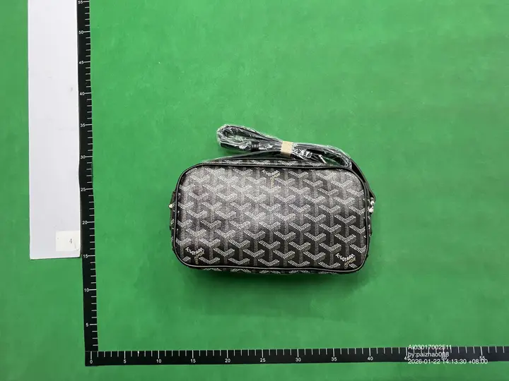 Goyard Bag QC photo 12