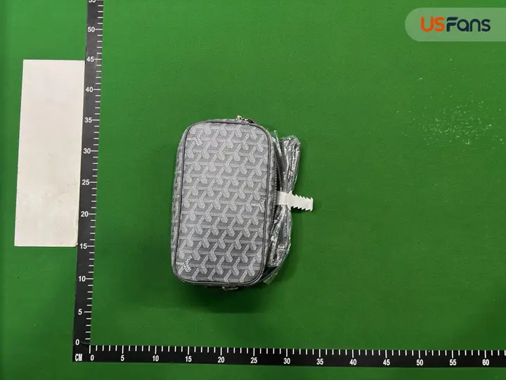 Goyard Bag QC photo 18