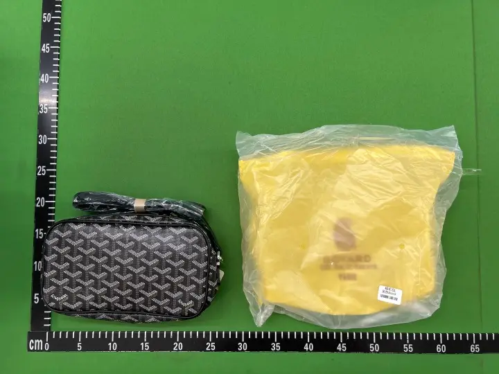 Goyard Bag QC photo 2