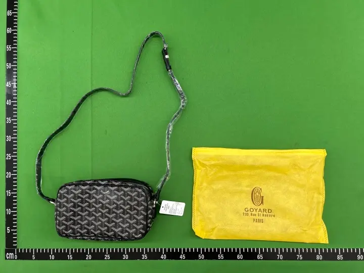 Goyard Bag QC photo 6