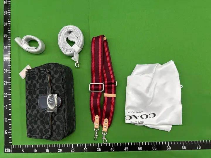 Coach Bag QC photo 1