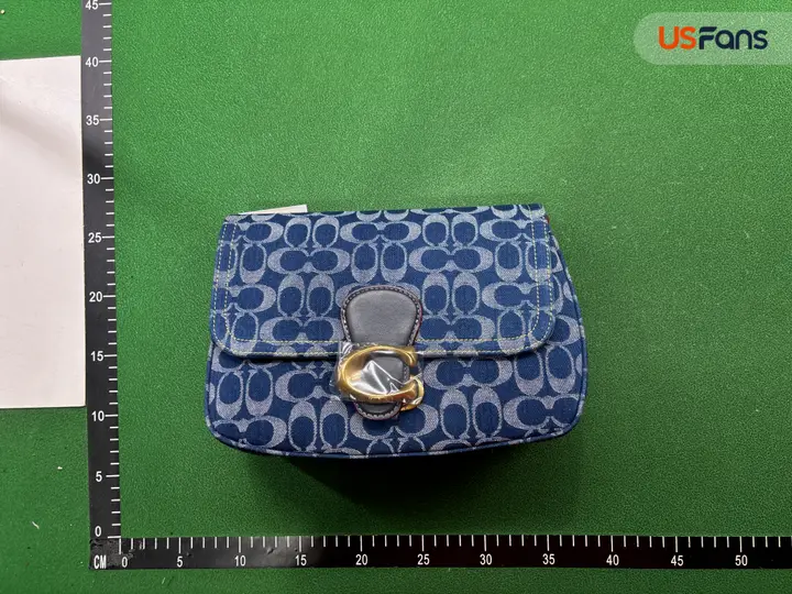 Coach Bag QC photo 14