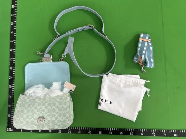 Coach Bag QC photo 6