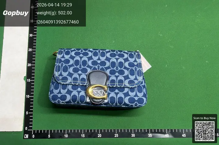 Coach Bag QC photo 8