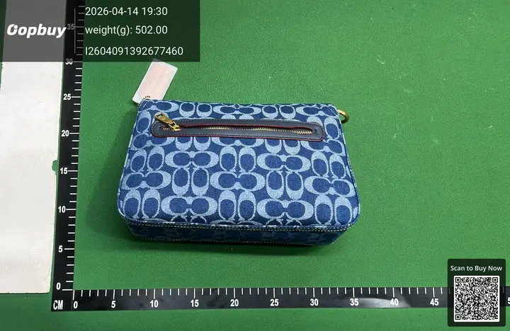 Coach Bag QC photo 9