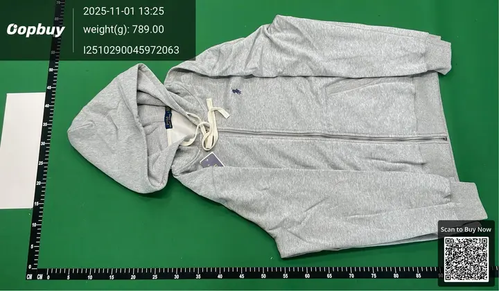 Ralph Lauren Hoodie QC photo 12