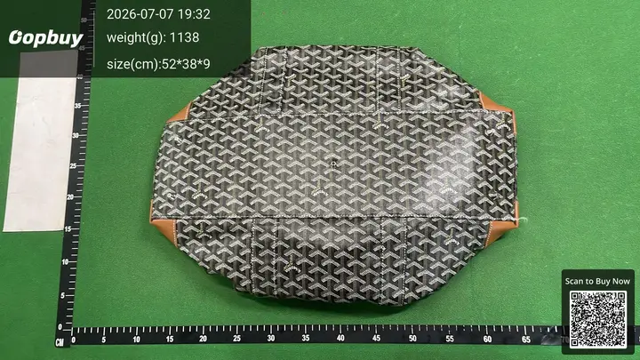 Goyard Bag QC photo 10