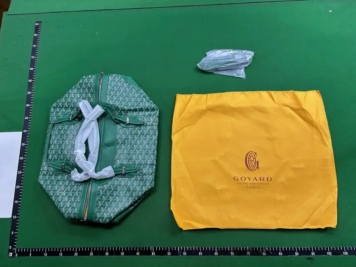 Goyard Bag QC photo 14