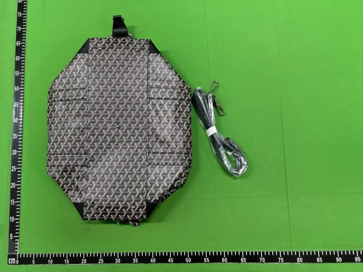 Goyard Bag QC photo 4