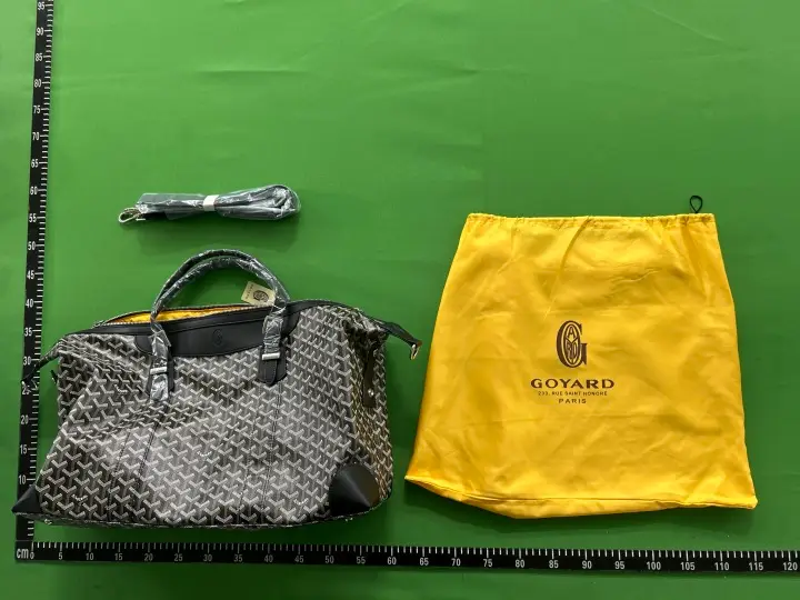 Goyard Bag QC photo 7