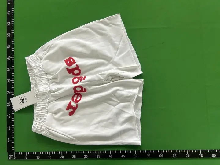 Sp5der Shorts QC photo 14