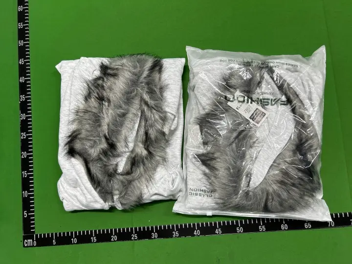 WLNEXT Hoodie QC photo 5