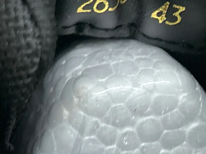 Prada America's Cup Sneakers QC photo 5