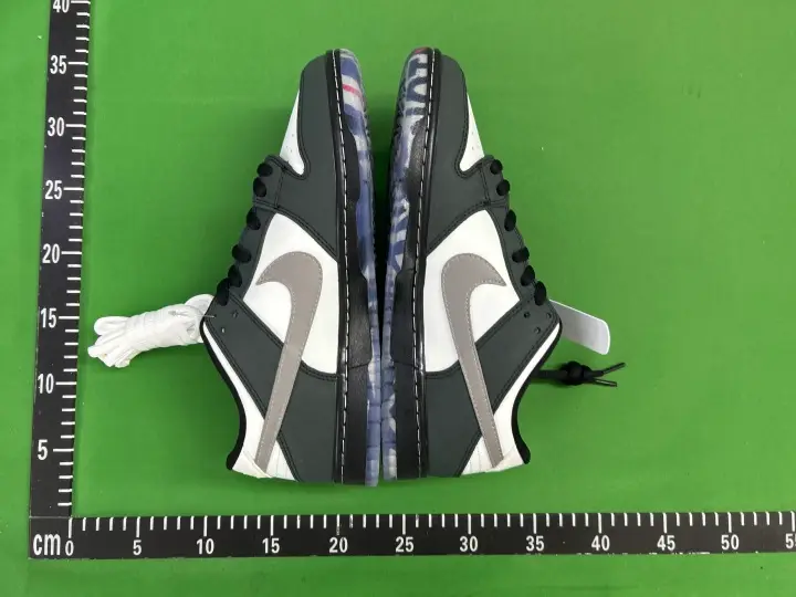 Dunk Panda Pigeon Shoes QC photo 11