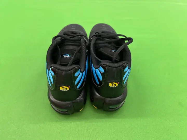 Nike Air Max Plus "Aurora Green" QC photo 18