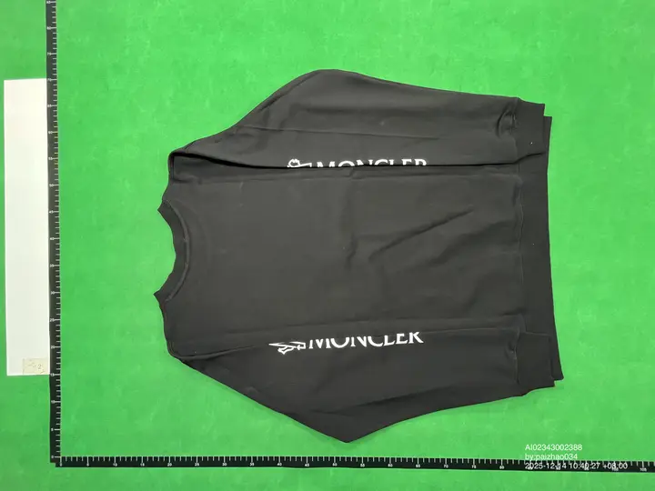 Moncler Hoodie QC photo 6