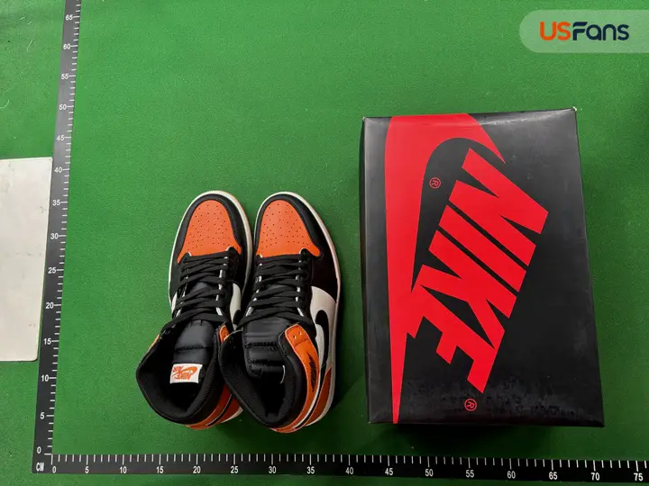 Jordan 1 Prototype QC photo 1