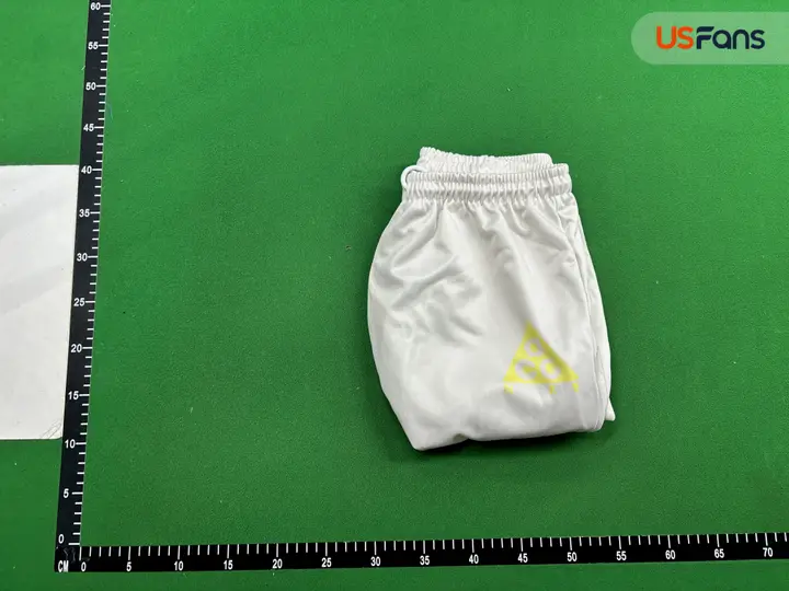 ACG Shorts QC photo 16