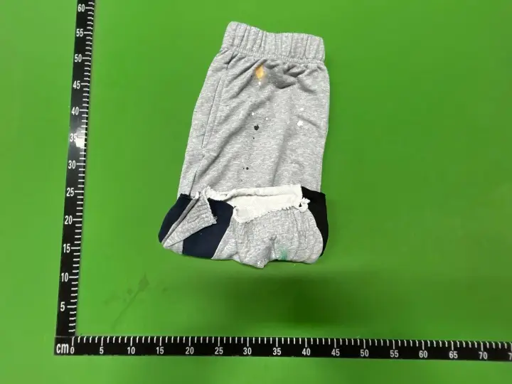 Gallery Dept Shorts QC photo 5