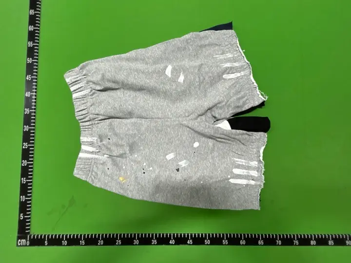 Gallery Dept Shorts QC photo 8