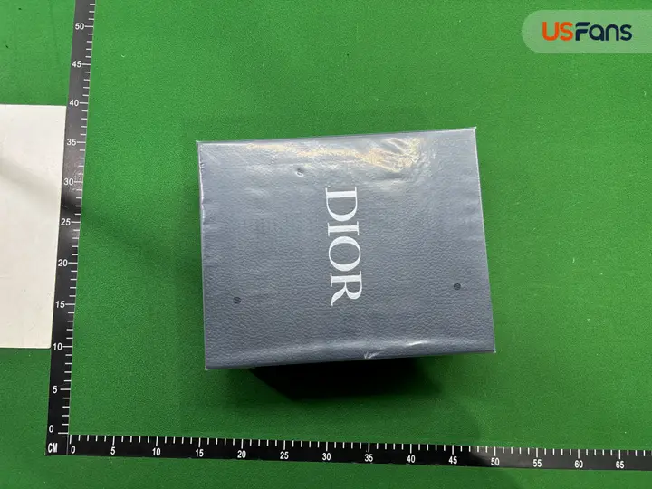 DIOR Oblique QC photo 16