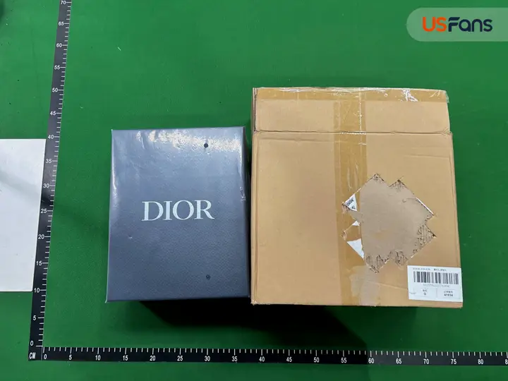 DIOR Oblique QC photo 18
