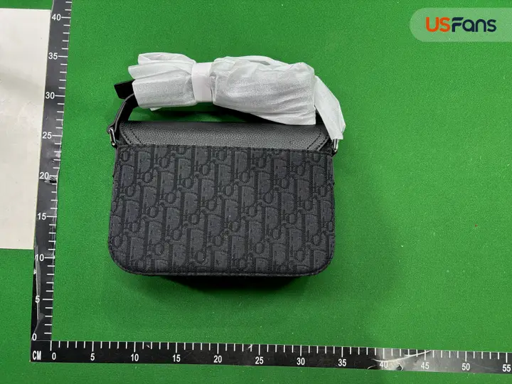 DIOR Oblique QC photo 20