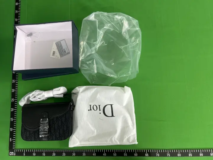 DIOR Oblique QC photo 5