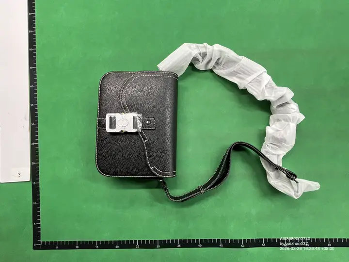 DIOR Oblique QC photo 9