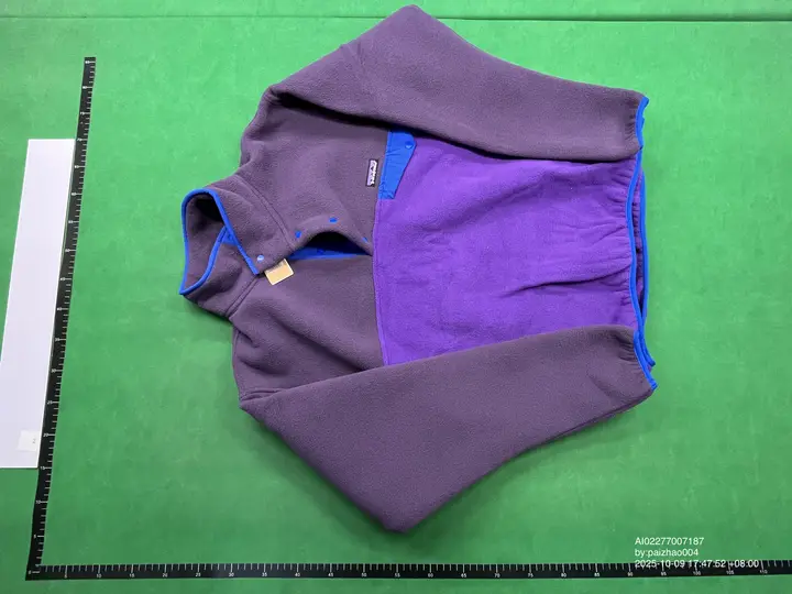 Patagonia Jacket QC photo 3