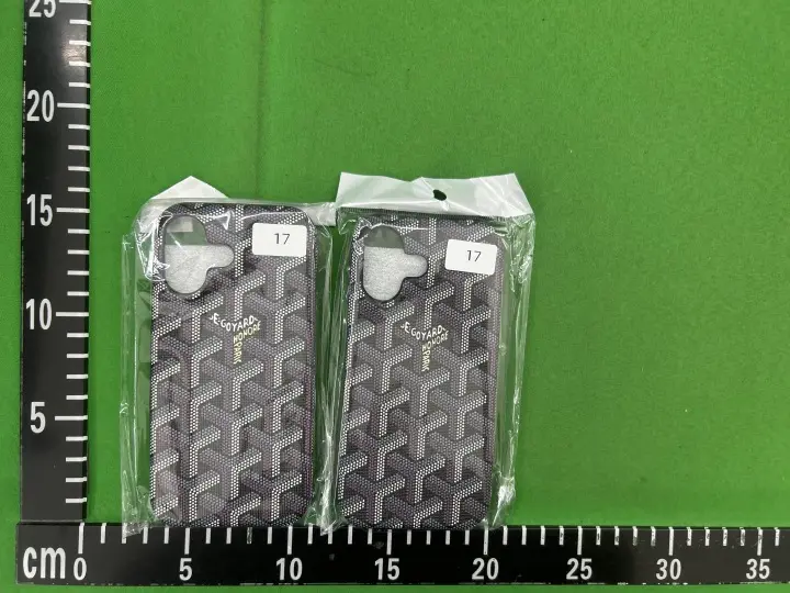 Goyard Phone Case QC photo 18