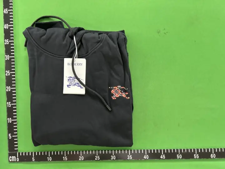Burberry Hoodie QC photo 1