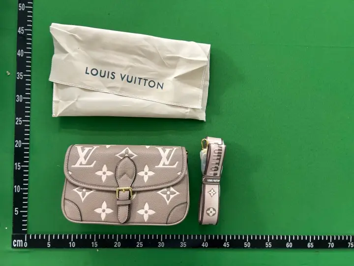 Louis Vuitton Diane Nano Tourterelle Creme QC photo 3