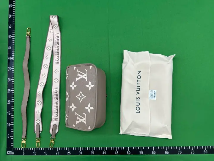 Louis Vuitton Diane Nano Tourterelle Creme QC photo 6