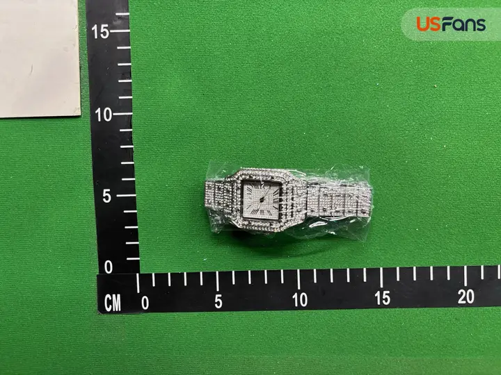 Cartier Santos Iced Out QC photo 15