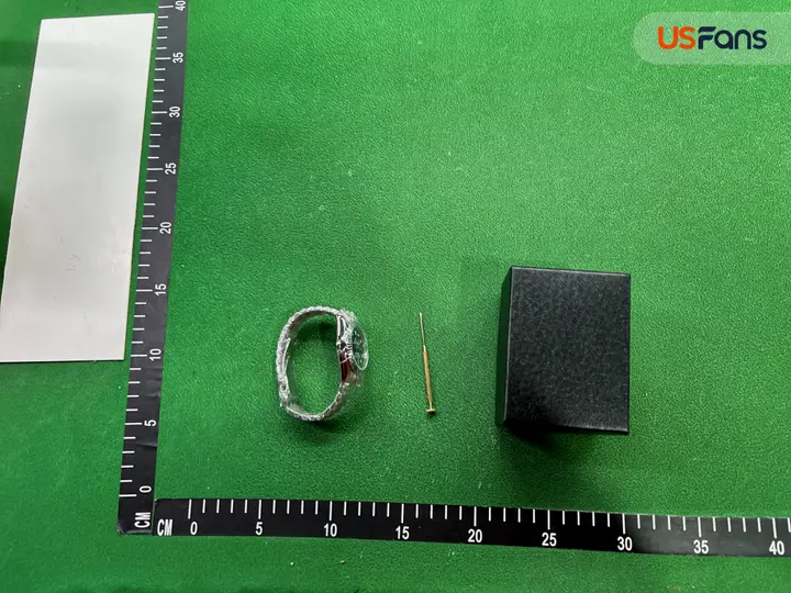 Cartier Santos Iced Out QC photo 20