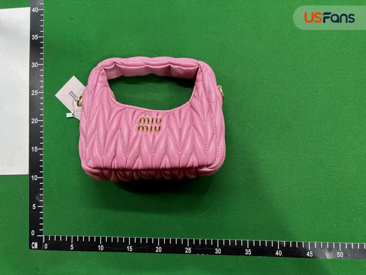 Miu Miu Bag QC photo 10