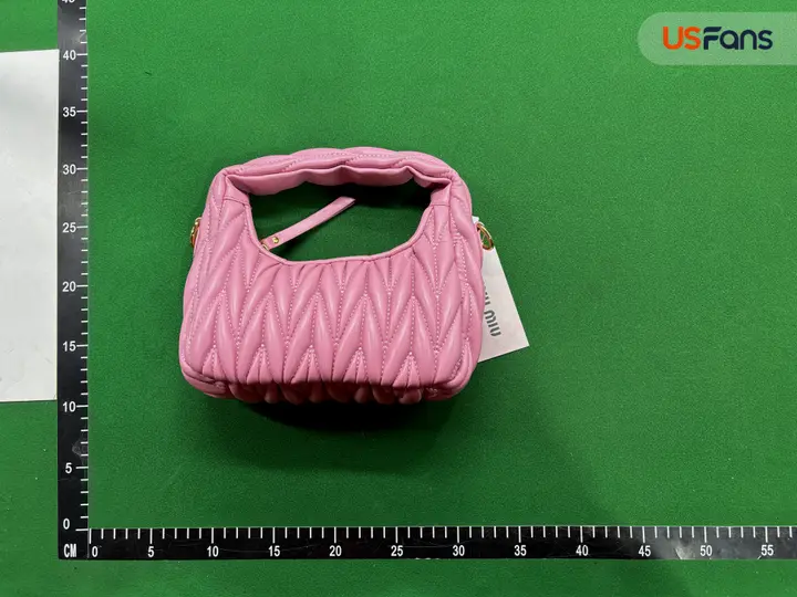 Miu Miu Bag QC photo 11