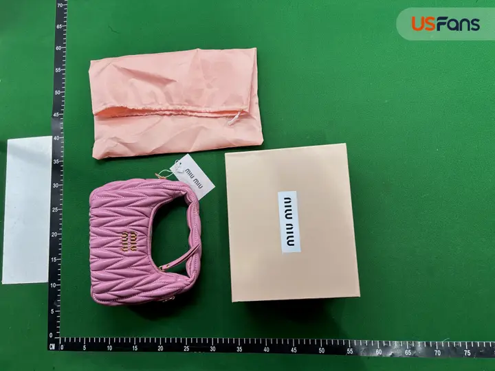 Miu Miu Bag QC photo 12