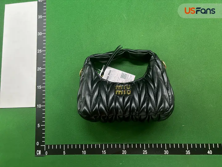 Miu Miu Bag QC photo 4